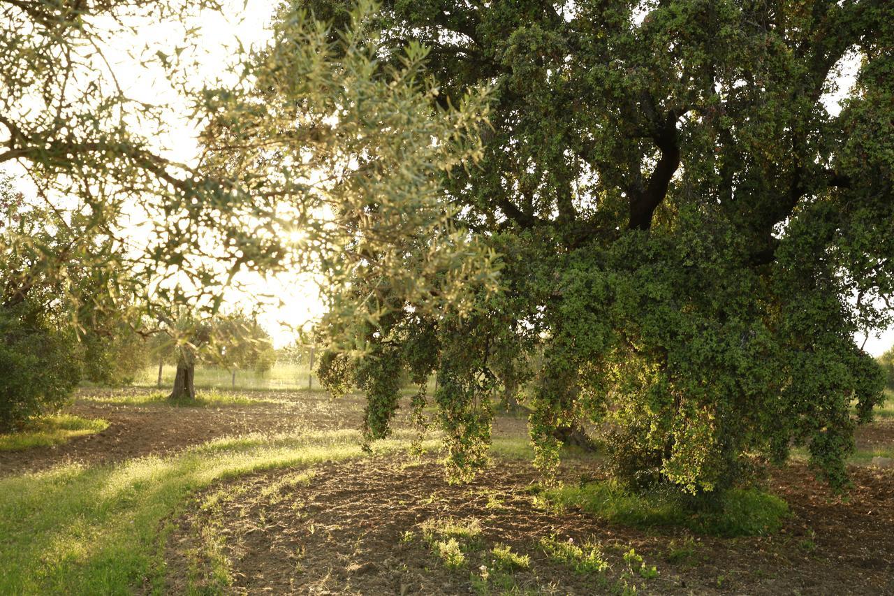 Fazenda Nova Country House Tavira Zewnętrze zdjęcie